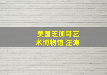 美国芝加哥艺术博物馆 汪涛